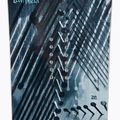 Deska snowboardowa Lib Tech Legitimizer 4