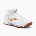 Buty do siatkówki męskie Joma V.Block white