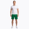 Spodenki do biegania męskie Joma Record II green