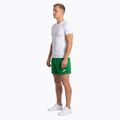 Spodenki do biegania męskie Joma Record II green 3