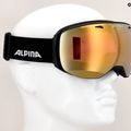 Gogle narciarskie Alpina Big Horn QV black matt/gold sph 4