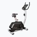 Rower stacjonarny BH Fitness Polaris Dual