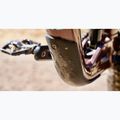 Rower górski Marin Alpine Trail 1 29/27,5 gloss brown/blue/light blue 7