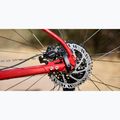 Rower górski Marin Bobcat Trail 3 29 gloss charcoal/red/black 6