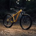 Rower górski Orbea Laufey H30 2023 golden sand 7