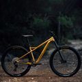 Rower górski Orbea Laufey H30 2023 golden sand 8