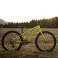 Rower dziecięcy Orbea MX 20 Team 2022 lime/watermelon 6