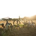 Rower dziecięcy Orbea MX 20 Team 2022 lime/watermelon 8