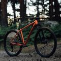 Rower górski Orbea Onna 50 29 2022 red/green 11