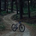 Rower górski Orbea Onna 50 29 2022 blue/white 8