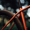 Rower górski Orbea Onna 50 29 2022 red/green 14