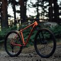Rower górski Orbea Onna 40 29 2022 red/green 14