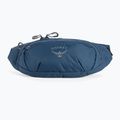 Saszetka nerka Osprey Daylite Waist wave blue 3