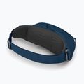Saszetka nerka Osprey Daylite Waist wave blue 11