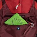 Plecak turystyczny męski Osprey Stratos 26 l poinsettia red 6