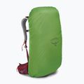 Plecak turystyczny męski Osprey Stratos 26 l poinsettia red 14