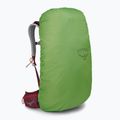 Plecak turystyczny męski Osprey Stratos 44 l poinsettia red 8