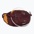 Saszetka nerka Osprey Seral 4 l z bukłakiem  1.5 l aprium purple 2