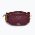 Saszetka nerka Osprey Seral 4 l z bukłakiem  1.5 l aprium purple 9