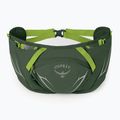 Saszetka nerka Osprey Duro Dyna 2 l seaweed green/limon