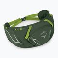 Saszetka nerka Osprey Duro Dyna 2 l seaweed green/limon 2