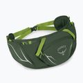 Saszetka nerka Osprey Duro Dyna 2 l seaweed green/limon 2