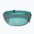 Saszetka nerka Osprey Daylite Waist jetstream blue/cascade blue