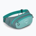 Saszetka nerka Osprey Daylite Waist jetstream blue/cascade blue 2
