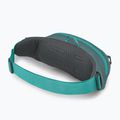 Saszetka nerka Osprey Daylite Waist jetstream blue/cascade blue 3