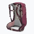Plecak turystyczny damski Osprey Sirrus 24 l elderberry purple/chiru tan 2