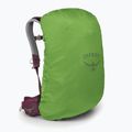Plecak turystyczny damski Osprey Sirrus 24 l elderberry purple/chiru tan 4