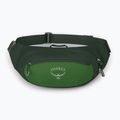 Saszetka nerka Osprey Daylite Waist 2 l green bely/green canopy