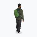 Plecak turystyczny Osprey Daylite Plus 20 l green belet/green canopy 11