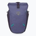 Plecak miejski Osprey Transporter Roll Top 20 l euphoria purple