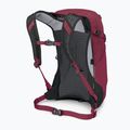 Plecak turystyczny Osprey Hikelite 18 l chameleon/black 3
