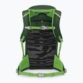 Plecak turystyczny dziecięcy Osprey Jet 18 l green canopy/ limeline green 2