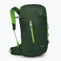 Plecak turystyczny dziecięcy Osprey Jet 18 l green canopy/ limeline green 3