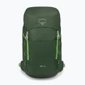 Plecak turystyczny Osprey Jet 28 l green canopy