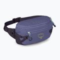 Saszetka nerka Osprey Transporter Waist Pack 3 l euphoria 2