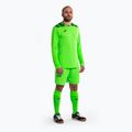 Zestaw bramkarski Joma Zamora VIII verde fluor