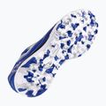 Buty piłkarskie męskie Joma Liga 5 TF royal 12