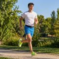 Spodenki do biegania męskie Joma R-City royal 17