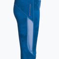 Legginsy do biegania damskie Joma R-City royal 7
