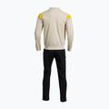 Dres męski Joma Montreal beige/black 2