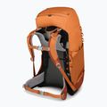 Plecak trekkingowy dziecięcy Osprey Ace 38 l orange sunset 6