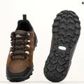 Buty trekkingowe męskie Jack Wolfskin Refugio Texapore Low brown/ phantom 12