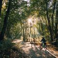 Rower trekkingowy damski Kellys Cristy 40 violet 9