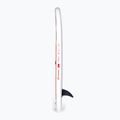 Deska SUP Gladiator Kids 8'0'' 5