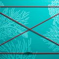 Deska SUP ABSTRACT Coral 10'6'' topaz 3