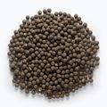 Kulki proteinowe MIVARDI Rapid Boilies Starter Monster & Halibut 3,5 kg 4